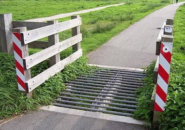 Fietsrooster.jpg